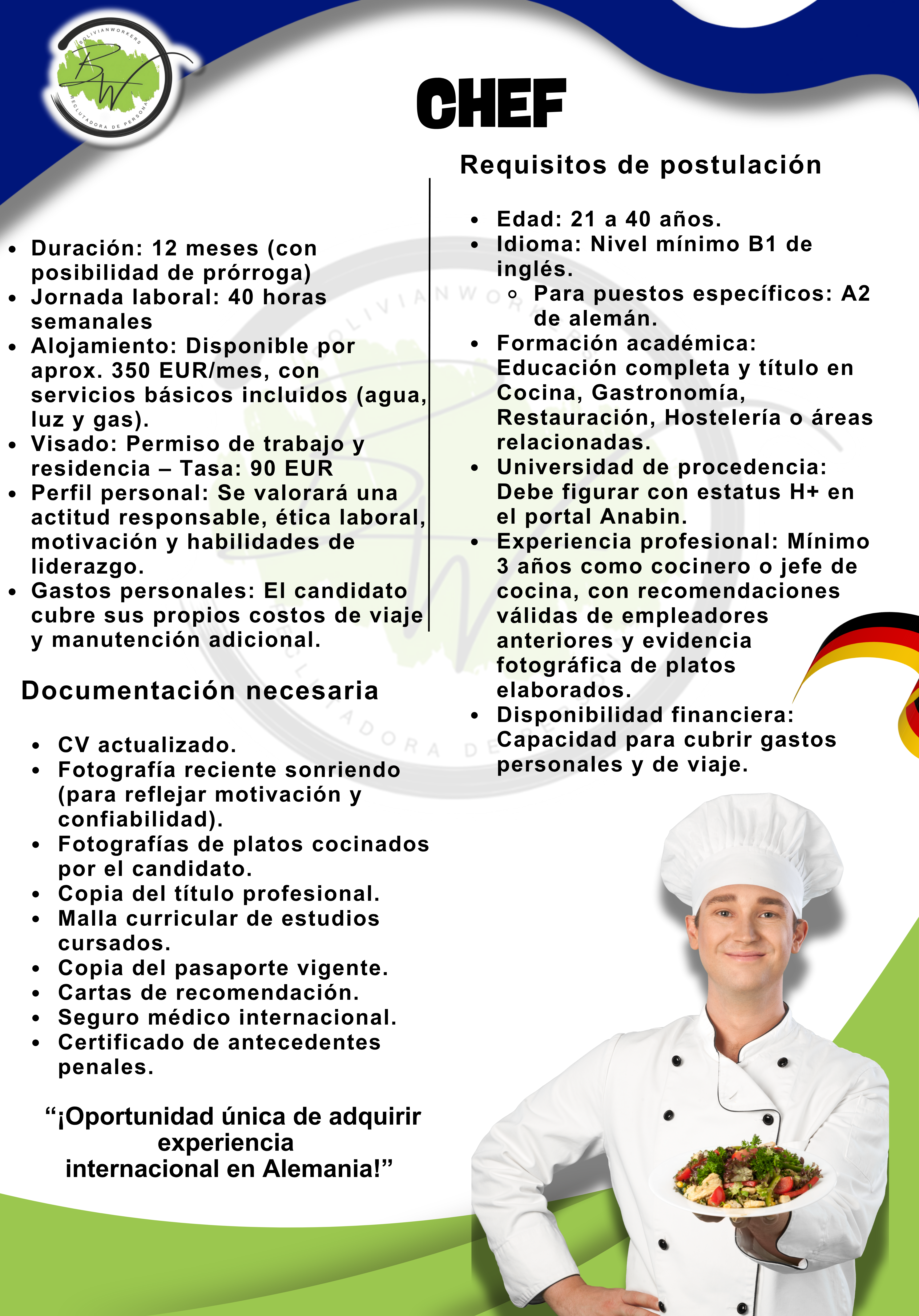 Auxiliar de cocina